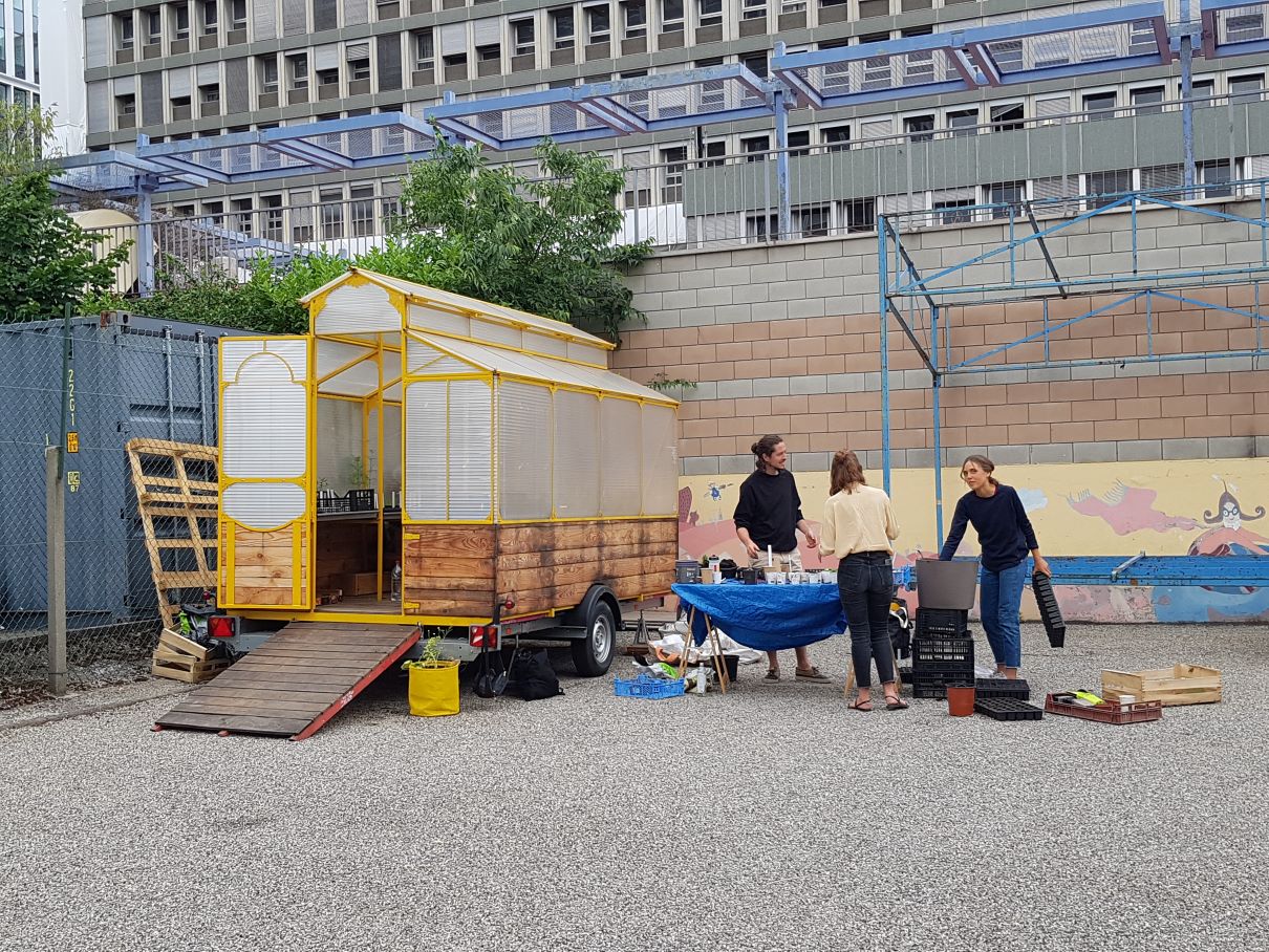 l'équipe installe un stand de travail à l'extérieur de la pépinière